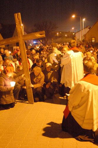 Wspólnie nieśli krzyż ulicami miasta