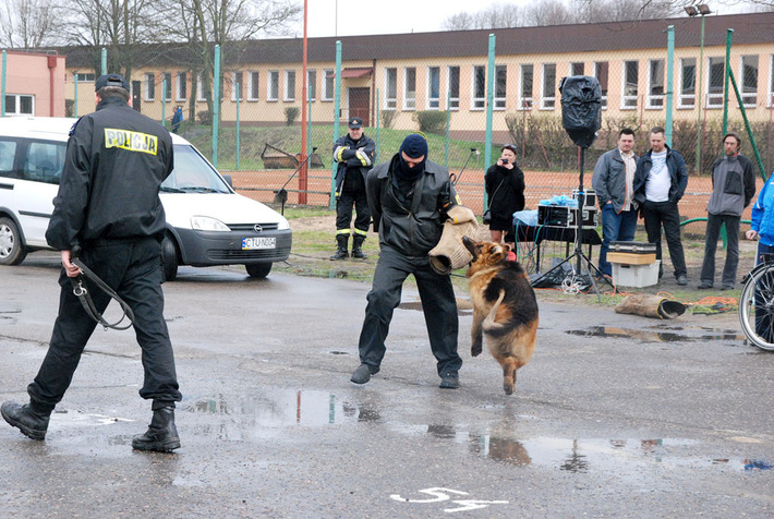 Wójt Kęsowa 
