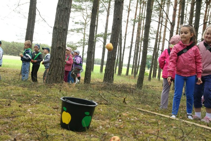 Dzieci szukały jabłek w lesie  GALERIA ZDJĘĆ