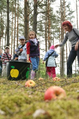 Dzieci szukały jabłek w lesie  GALERIA ZDJĘĆ