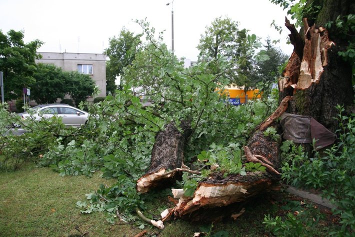 Wyrwał drzewa, zdmuchnął stodołę GALERIA ZDJĘĆ