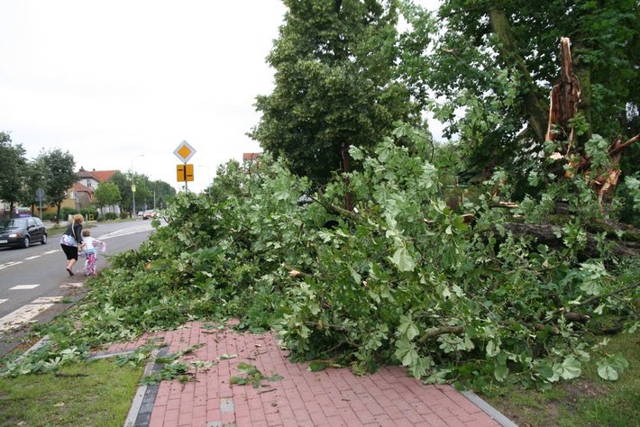 Wyrwał drzewa, zdmuchnął stodołę GALERIA ZDJĘĆ