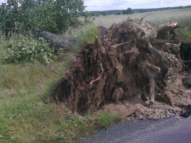 Wyrwał drzewa, zdmuchnął stodołę GALERIA ZDJĘĆ
