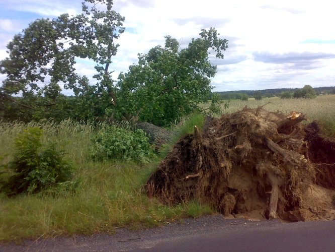 Wyrwał drzewa, zdmuchnął stodołę GALERIA ZDJĘĆ
