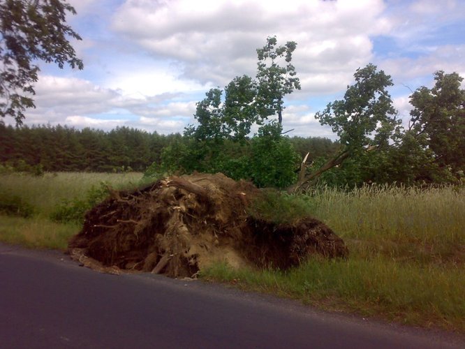 Wyrwał drzewa, zdmuchnął stodołę GALERIA ZDJĘĆ