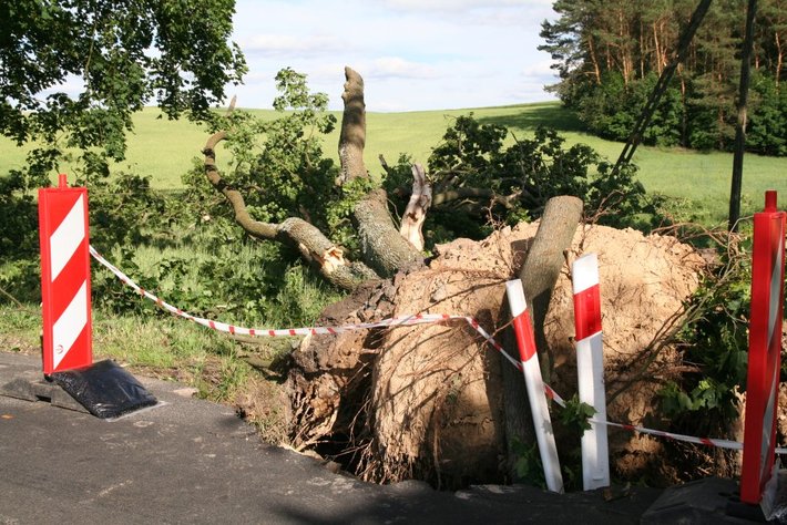 Wyrwał drzewa, zdmuchnął stodołę GALERIA ZDJĘĆ