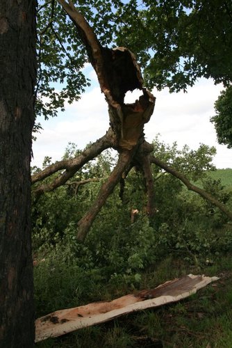 Wyrwał drzewa, zdmuchnął stodołę GALERIA ZDJĘĆ