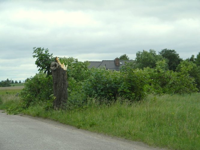 Wyrwał drzewa, zdmuchnął stodołę GALERIA ZDJĘĆ
