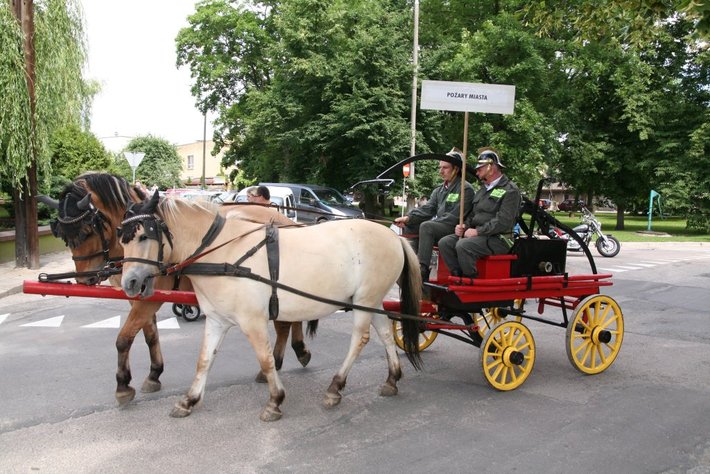 Borowiacy przeszli w historycznej paradzie GALERIA ZDJĘĆ