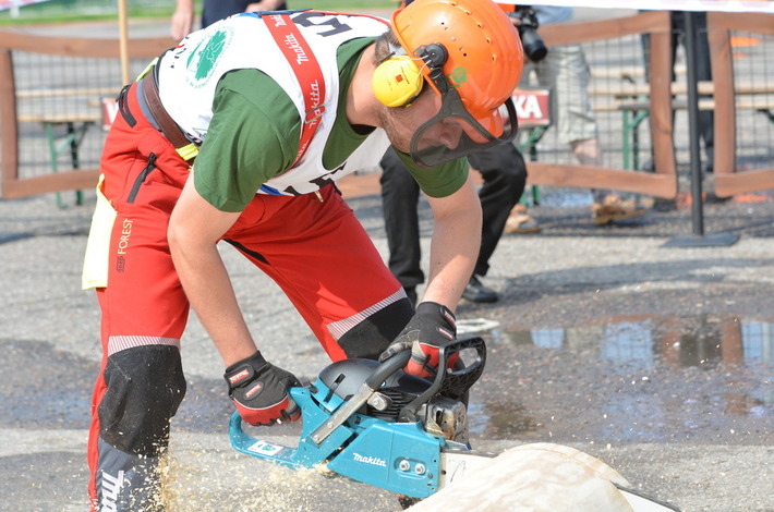 Mistrzostwa drwali w Tucholi ZDJĘCIA