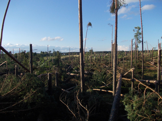Widok jak po bombardowaniu ZDJĘCIA