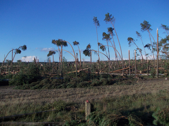 Widok jak po bombardowaniu ZDJĘCIA
