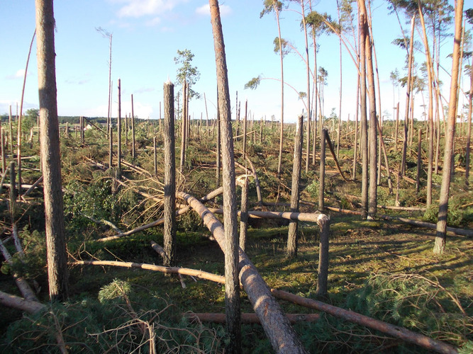 Widok jak po bombardowaniu ZDJĘCIA