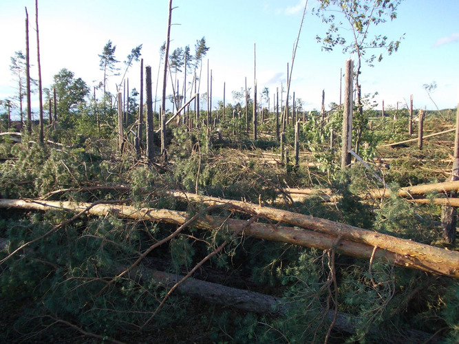 Widok jak po bombardowaniu ZDJĘCIA