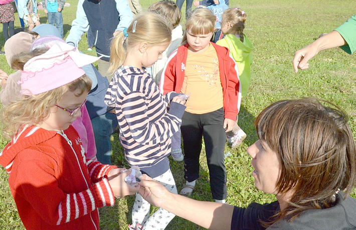 Starosta i wójt... macali kurę