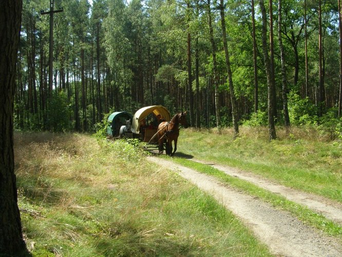 Indiańskie lato w Śliwicach GALERIA ZDJĘĆ