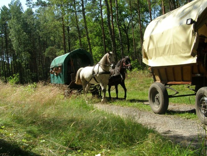 Indiańskie lato w Śliwicach GALERIA ZDJĘĆ