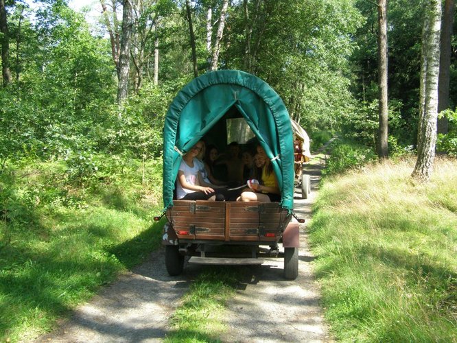 Indiańskie lato w Śliwicach GALERIA ZDJĘĆ