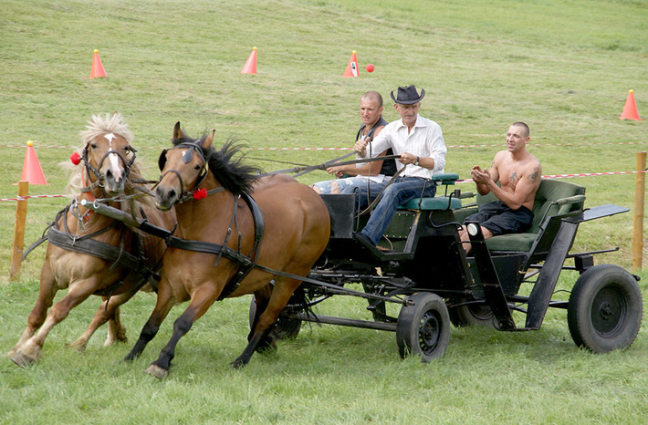 Konie i jeźdźcy ? najważniejsi bohaterowie niedzieli GALERIA ZDJĘĆ