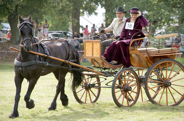 Konie i jeźdźcy ? najważniejsi bohaterowie niedzieli GALERIA ZDJĘĆ