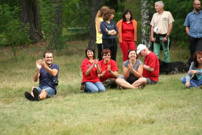 Pies, który pływa żabką GALERIA ZDJĘĆ