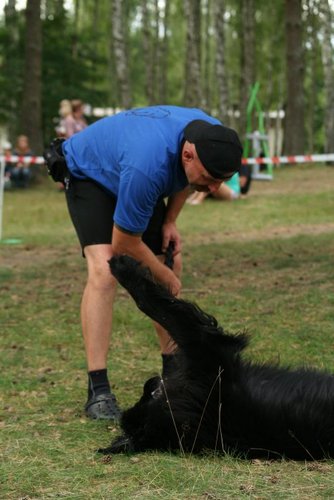 Pies, który pływa żabką GALERIA ZDJĘĆ