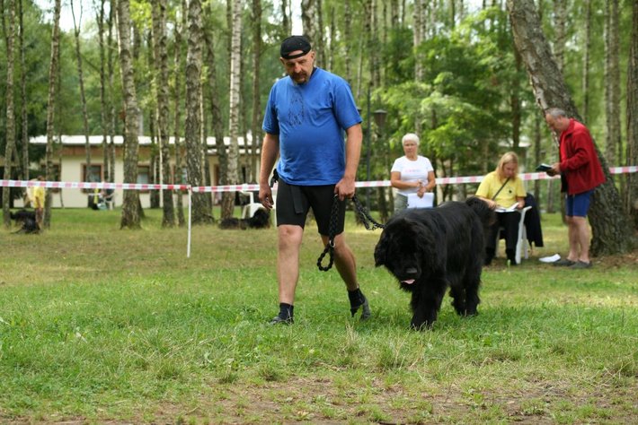 Pies, który pływa żabką GALERIA ZDJĘĆ
