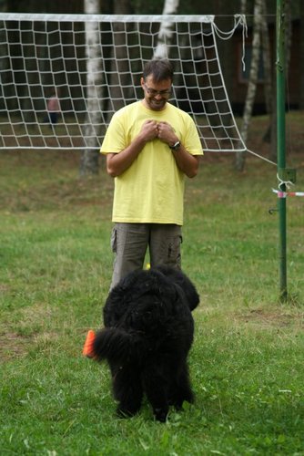 Pies, który pływa żabką GALERIA ZDJĘĆ