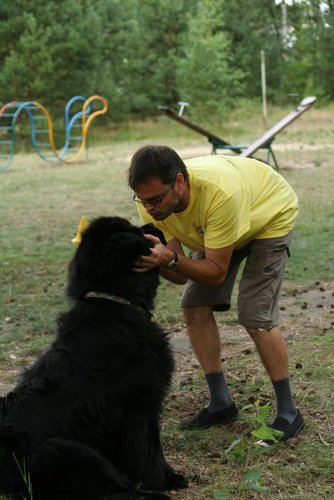 Pies, który pływa żabką GALERIA ZDJĘĆ