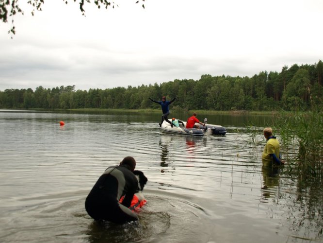 Pies, który pływa żabką GALERIA ZDJĘĆ