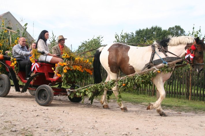 Kolorowe wozy w jabłkowej wsi GALERIA ZDJĘĆ