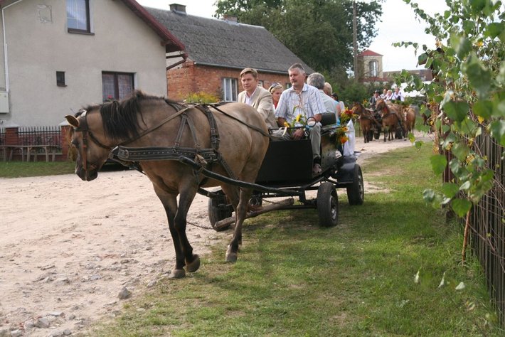 Kolorowe wozy w jabłkowej wsi GALERIA ZDJĘĆ