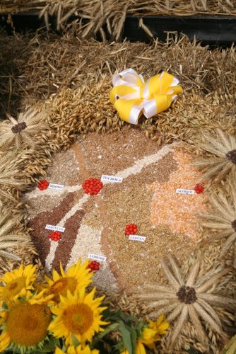 Kolorowe wozy w jabłkowej wsi GALERIA ZDJĘĆ