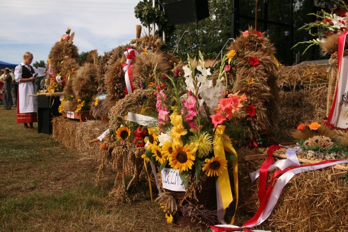 Kolorowe wozy w jabłkowej wsi GALERIA ZDJĘĆ