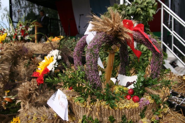 Kolorowe wozy w jabłkowej wsi GALERIA ZDJĘĆ