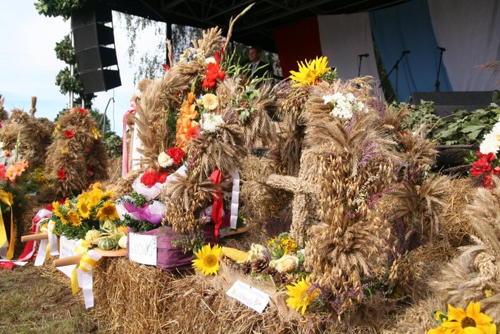 Kolorowe wozy w jabłkowej wsi GALERIA ZDJĘĆ