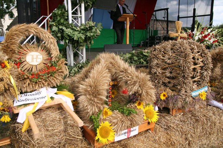 Kolorowe wozy w jabłkowej wsi GALERIA ZDJĘĆ