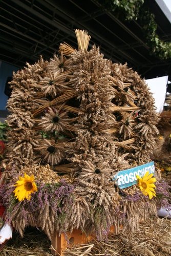 Kolorowe wozy w jabłkowej wsi GALERIA ZDJĘĆ