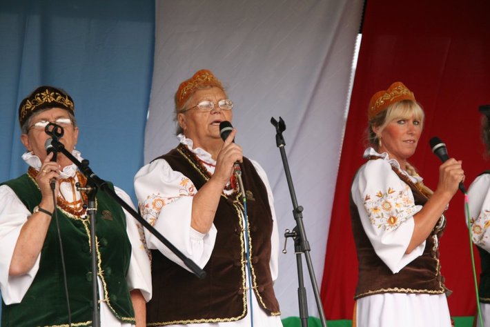 Kolorowe wozy w jabłkowej wsi GALERIA ZDJĘĆ