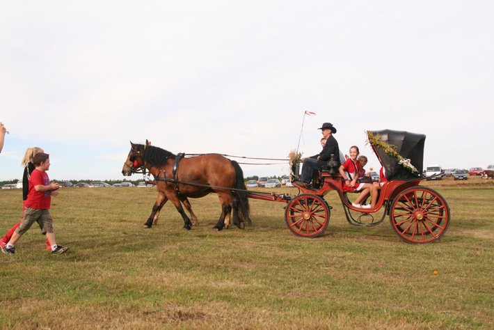 Kolorowe wozy w jabłkowej wsi GALERIA ZDJĘĆ