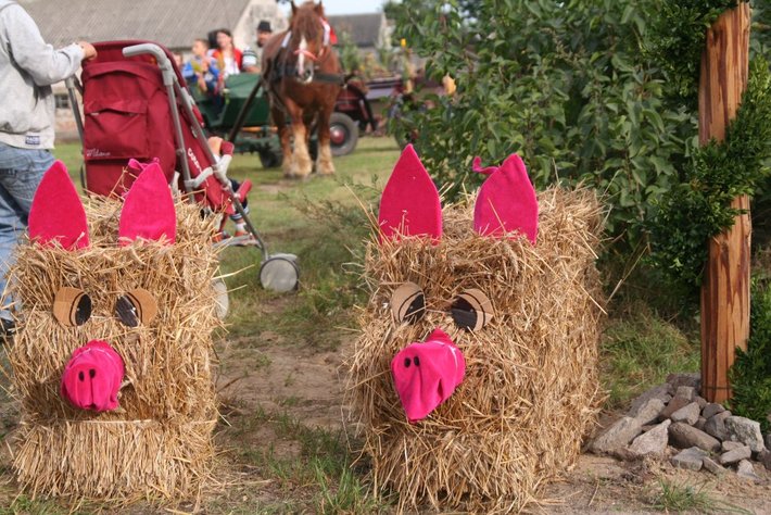 Kolorowe wozy w jabłkowej wsi GALERIA ZDJĘĆ