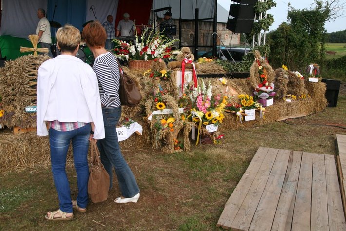 Kolorowe wozy w jabłkowej wsi GALERIA ZDJĘĆ