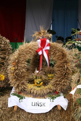 Kolorowe wozy w jabłkowej wsi GALERIA ZDJĘĆ