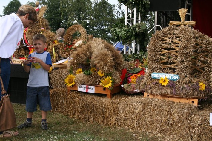 Kolorowe wozy w jabłkowej wsi GALERIA ZDJĘĆ