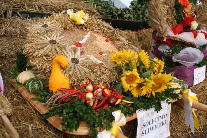 Kolorowe wozy w jabłkowej wsi GALERIA ZDJĘĆ