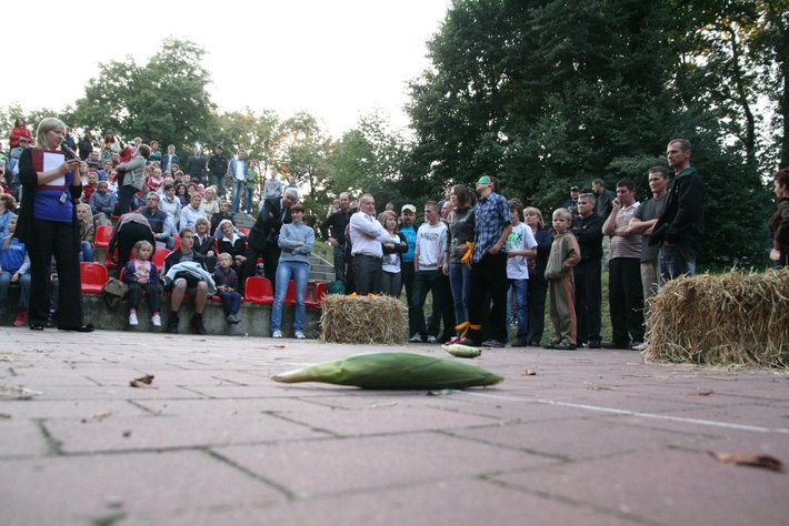 Gminne dożynki w Kęsowie GALERIA ZDJĘĆ