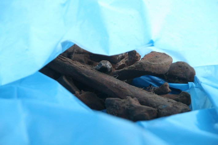 Odkopali szczątki saperów z II wojny światowej ZDJĘCIA