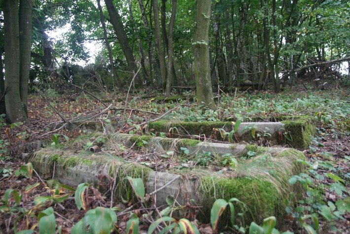 Odkopali szczątki saperów z II wojny światowej ZDJĘCIA