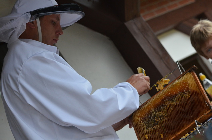 O miodzie prawie wszystko GALERIA ZDJĘĆ