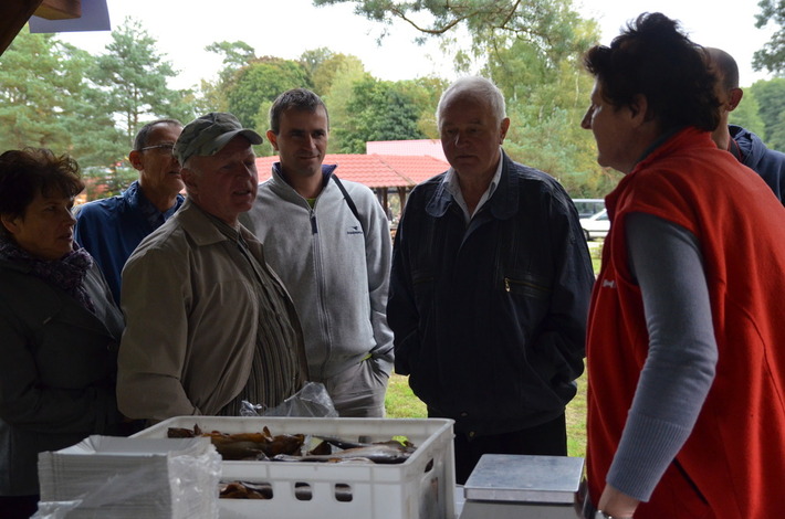 O miodzie prawie wszystko GALERIA ZDJĘĆ